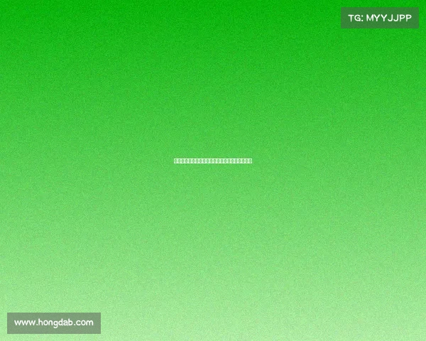 国际足联俱乐部世界杯圣路易斯城公布新赛季阵容