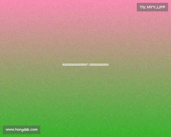 独行侠训练照曝光：欧文穿进口装备，PJ赤膊上阵与大小拳王击掌庆祝